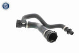Radiator Hose - V20-1768