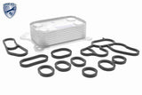 Oil Cooler, engine oil - V24-60-0020