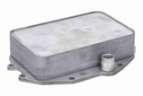 Oil Cooler, engine oil - V15-60-6083