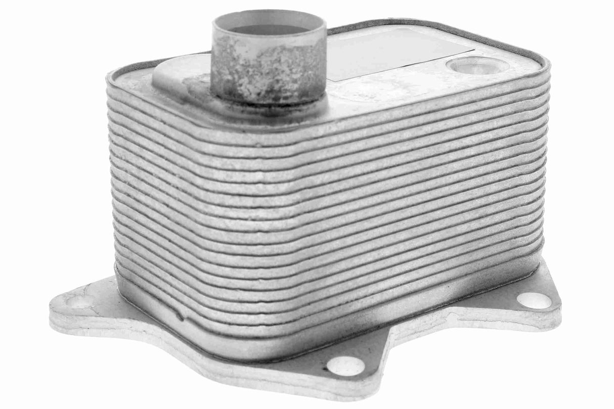 Oil Cooler, engine oil - V15-60-0015