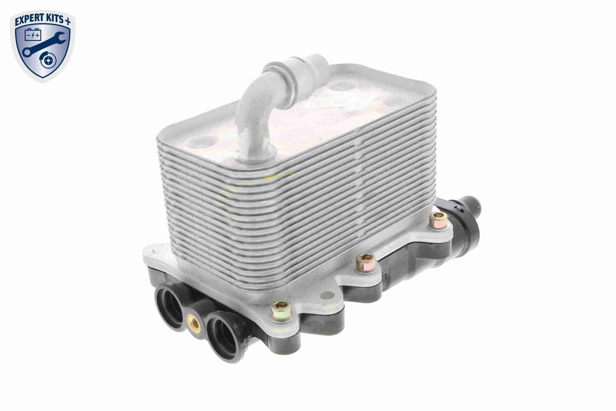 Oil Cooler, engine oil - V20-60-0046