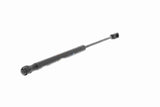 Gas Spring, bonnet - V20-2864