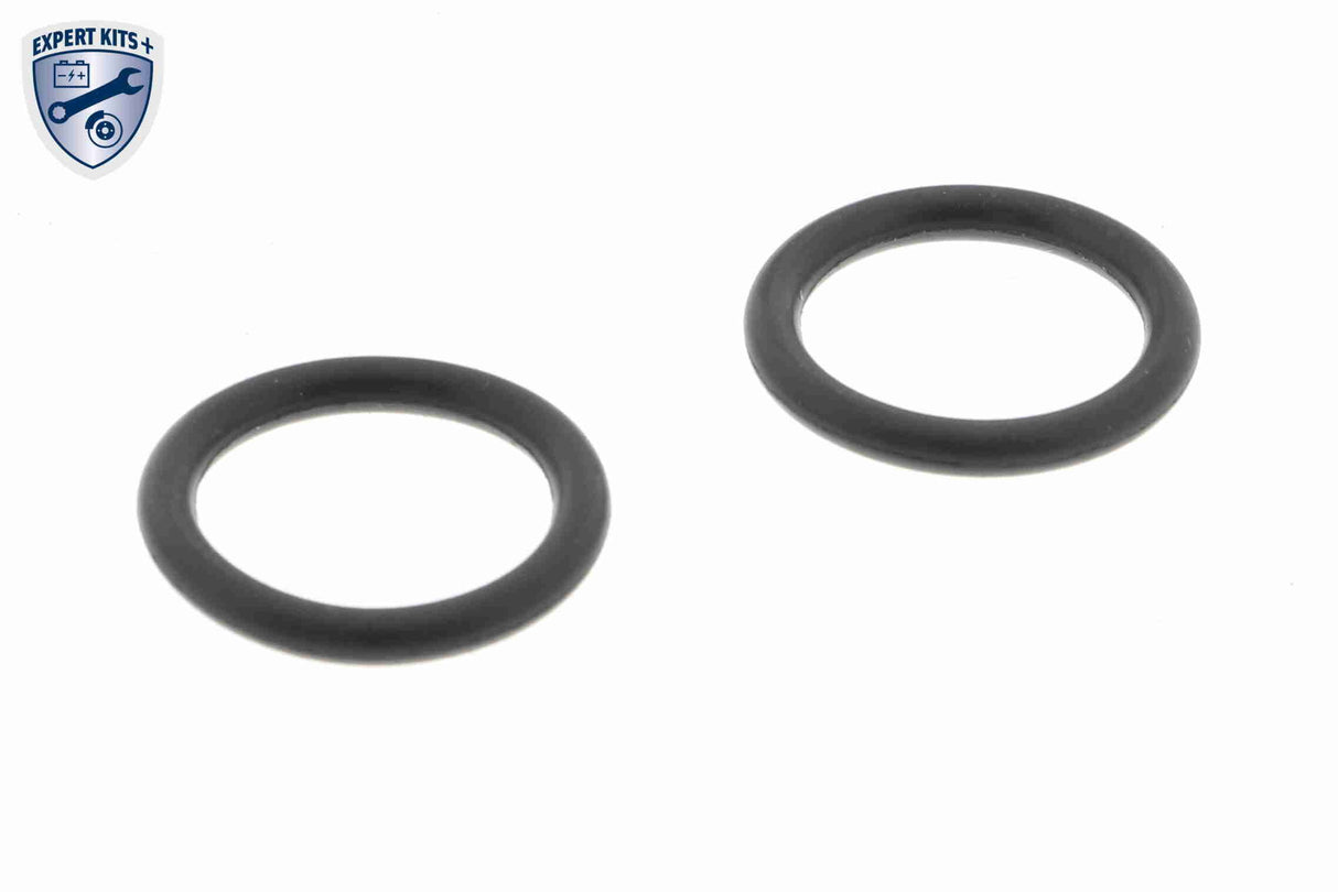 Oil Cooler, engine oil - V20-60-0002