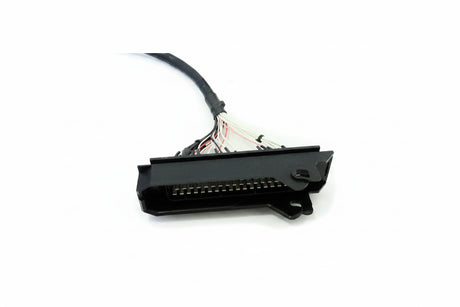 Citroen Saxo VTS Ecumaster EMU Black ECU & Plug-and-Play Adaptor Kit