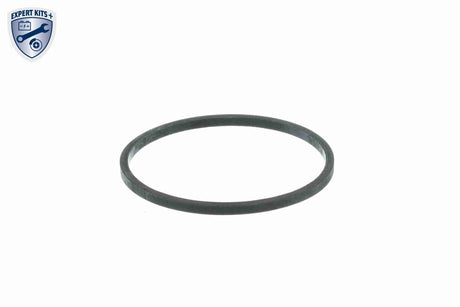 Thermostat Housing - V24-99-0004