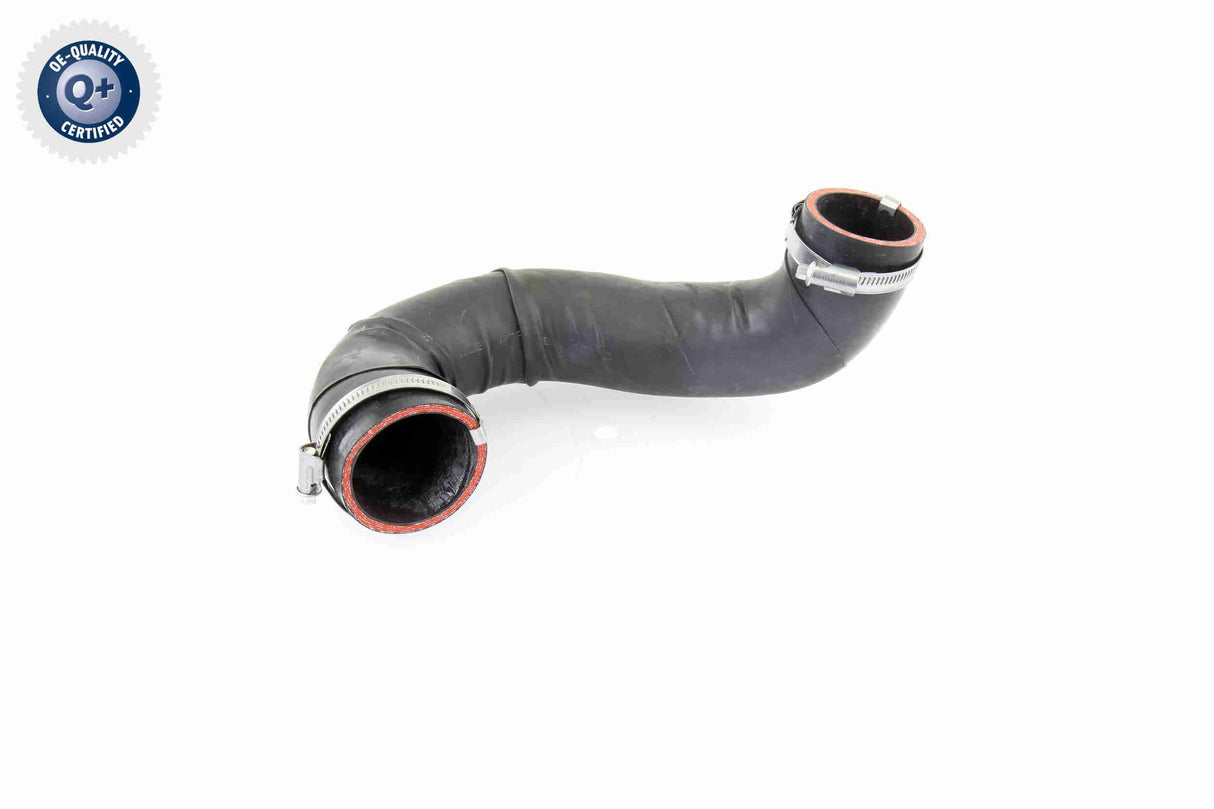 Charge Air Hose - V10-4381