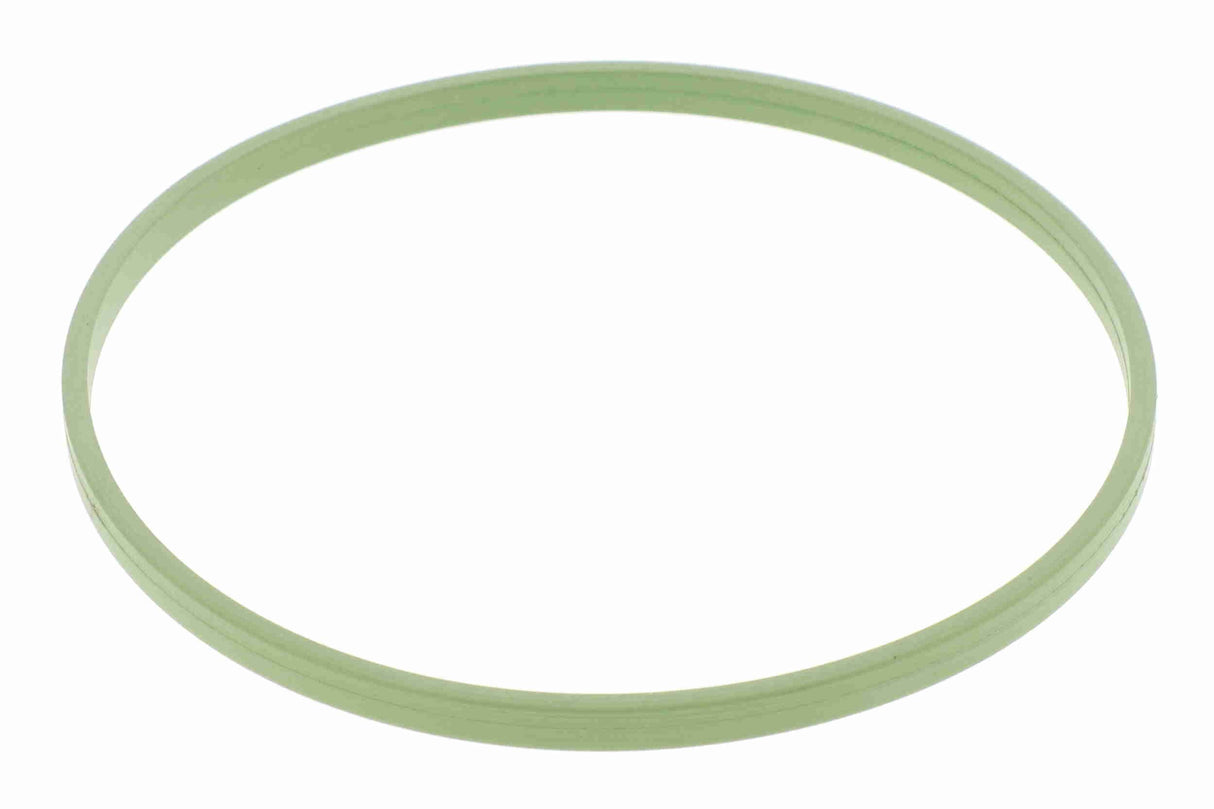 Gasket, throttle body - V10-81-0124
