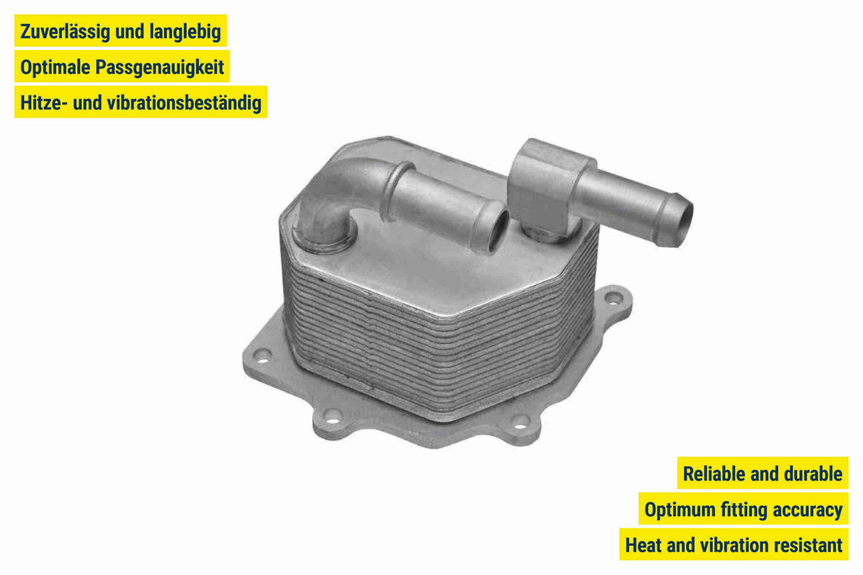 Oil Cooler, engine oil - V25-60-3033