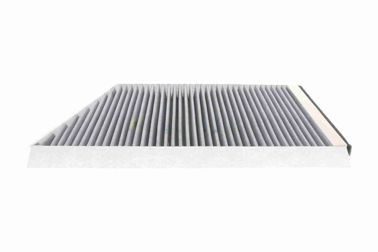 Filter, cabin air - V30-31-1005