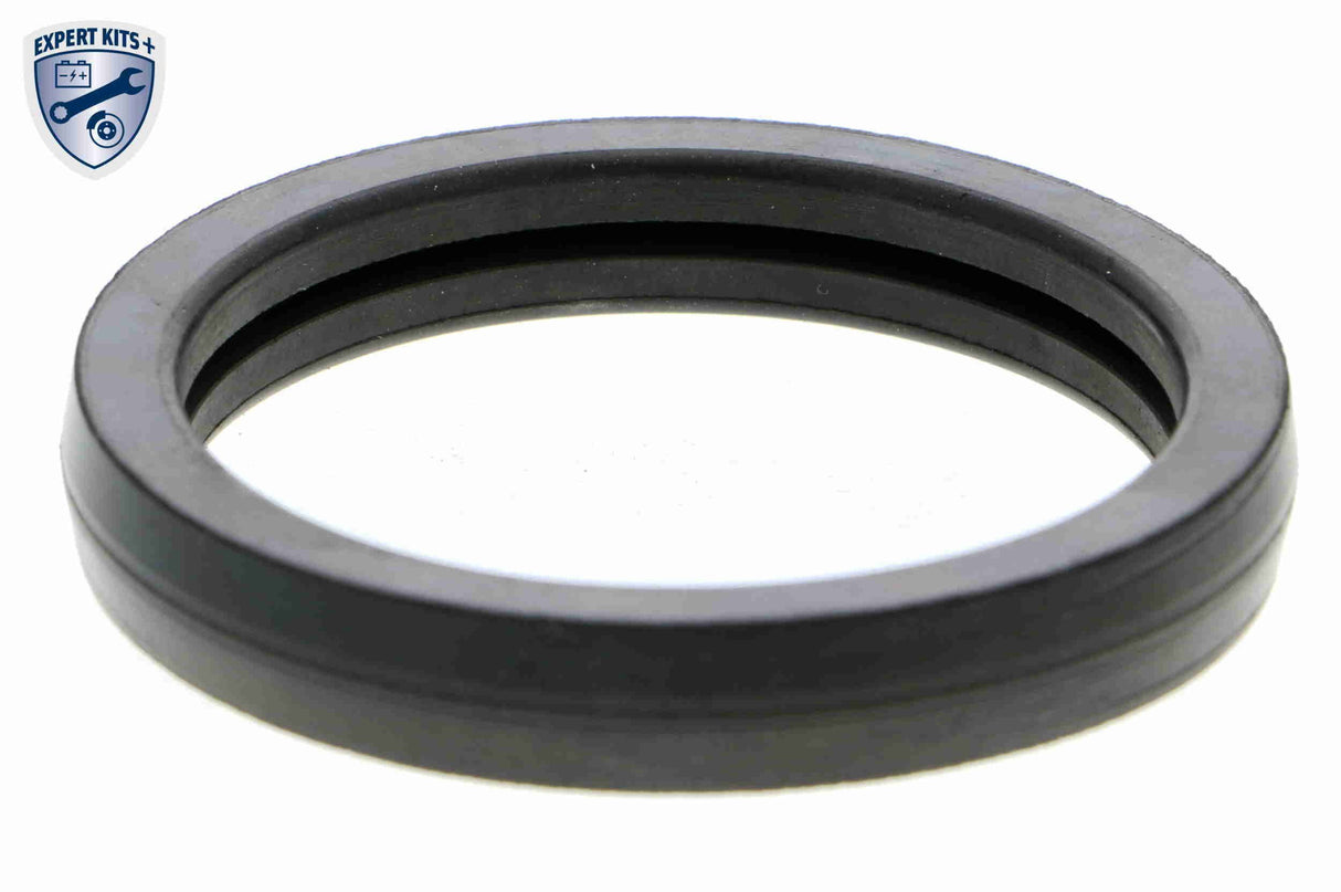 Thermostat, coolant - V42-99-0015