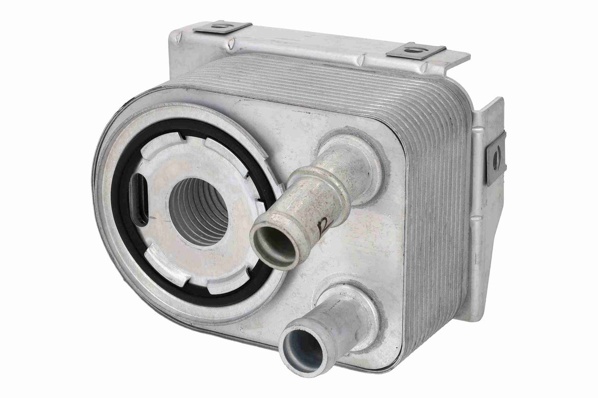 Oil Cooler, engine oil - V33-60-0018