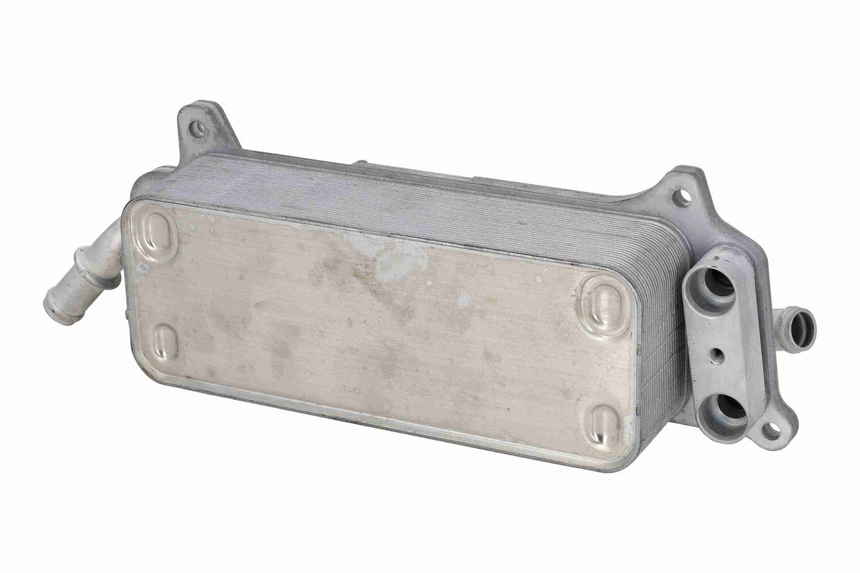 Oil Cooler, automatic transmission - V10-60-0102