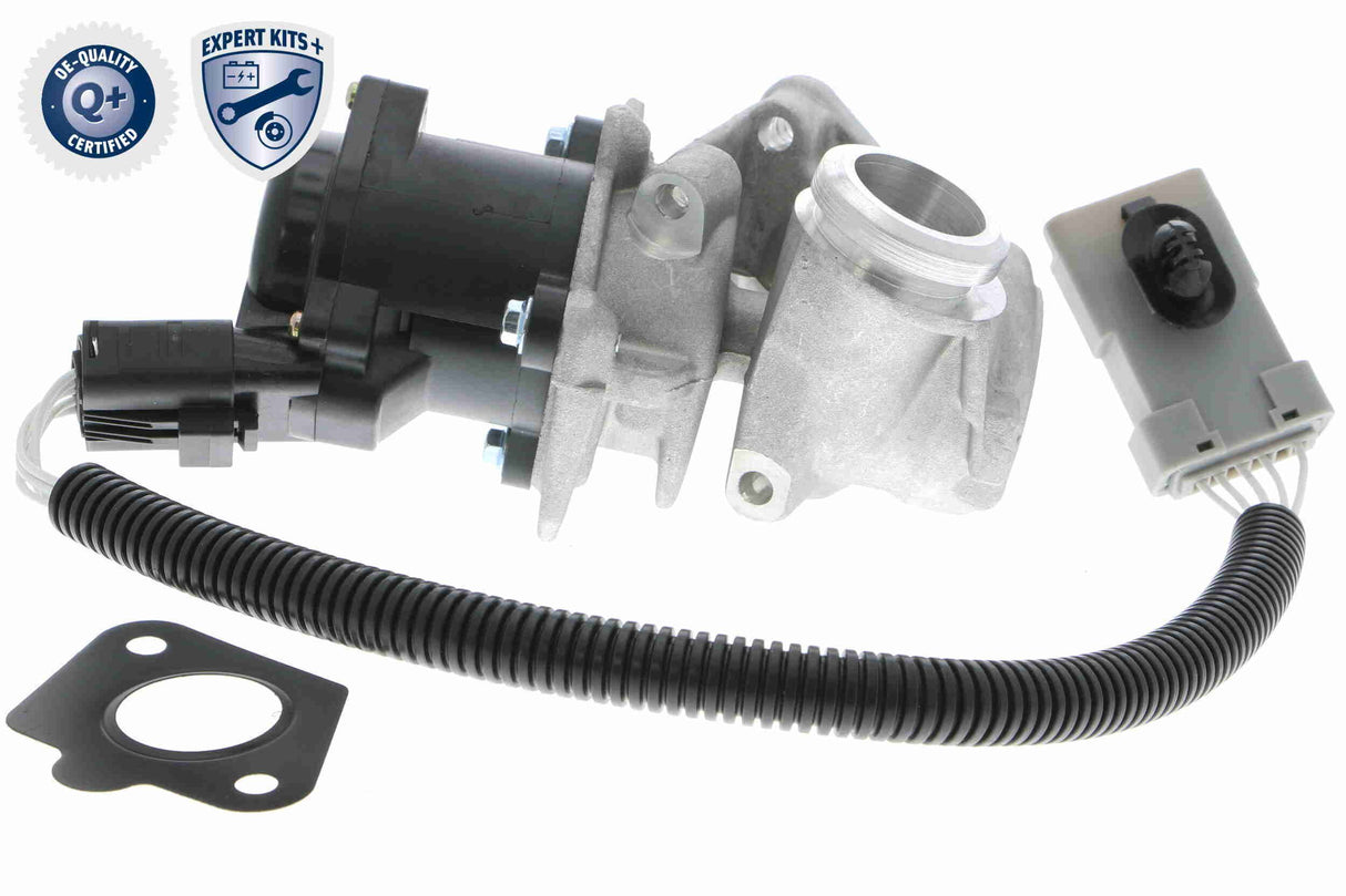 Valve, exhaust gas recirculation - V25-63-0009