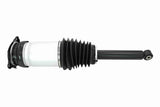 Air Suspension Strut - V58-50-0010