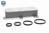 Oil Cooler, engine oil - V15-60-6017