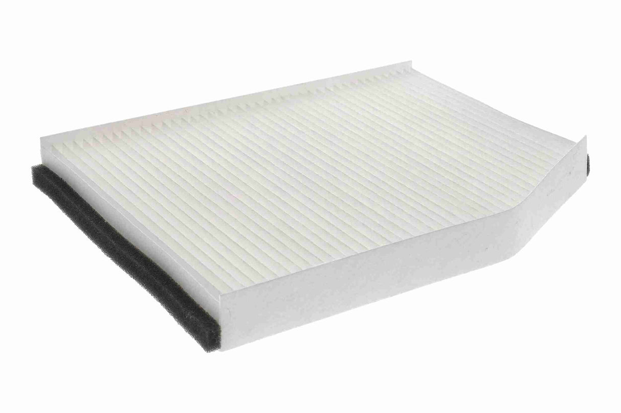 Filter, cabin air - V25-30-1004