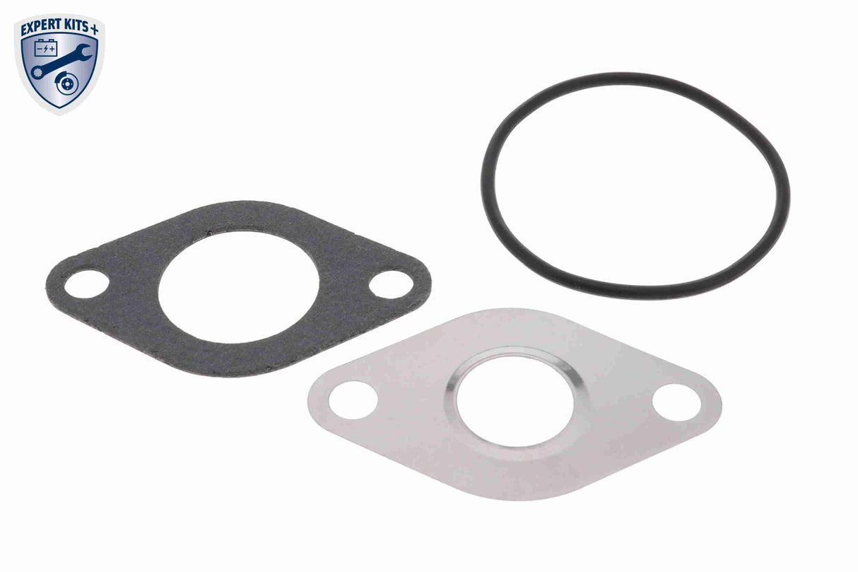 Valve, exhaust gas recirculation - V10-63-0021-1