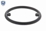 Oil Cooler, engine oil - V15-60-6010