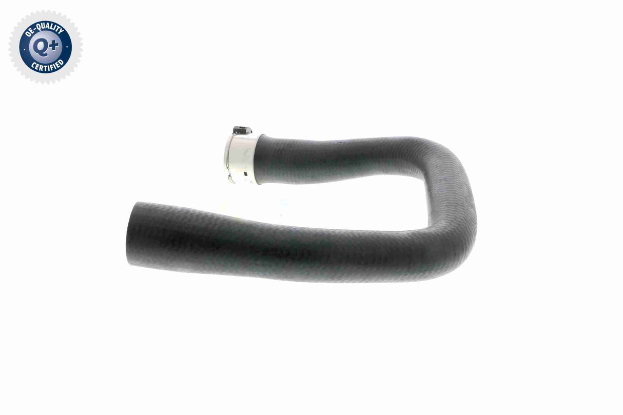 Charge Air Hose - V40-1361