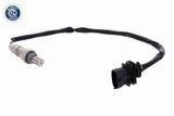 Oxygen Sensor - V24-76-0036