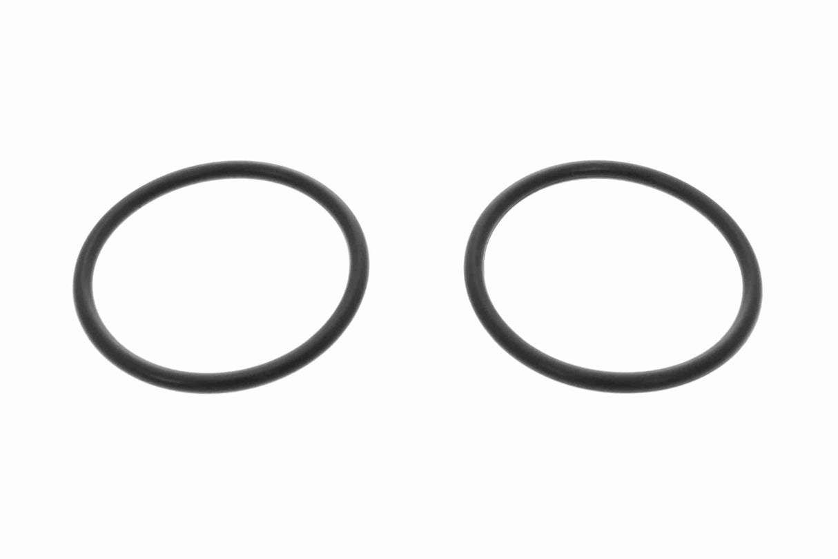 Water Pump, engine cooling - V10-50015