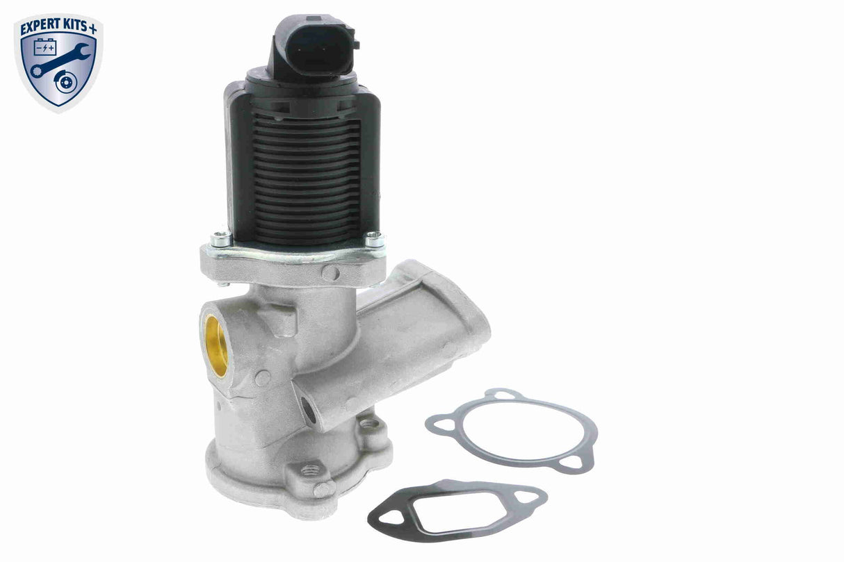 Valve, exhaust gas recirculation - V24-63-0011