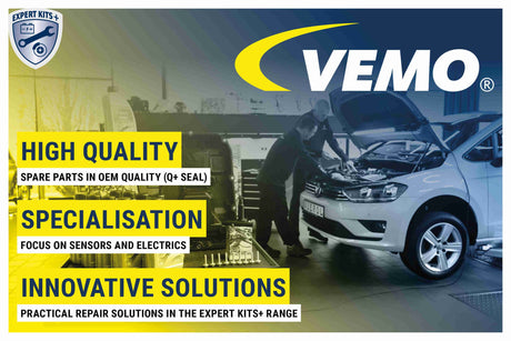 Air Suspension Strut - V20-50-0029