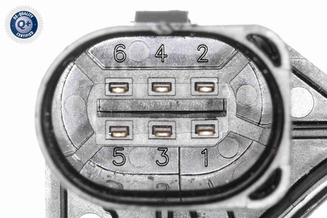 Throttle Body - V10-81-0099