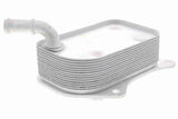 Oil Cooler, engine oil - V15-60-6071