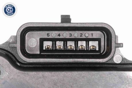 Throttle Body - V40-81-0033