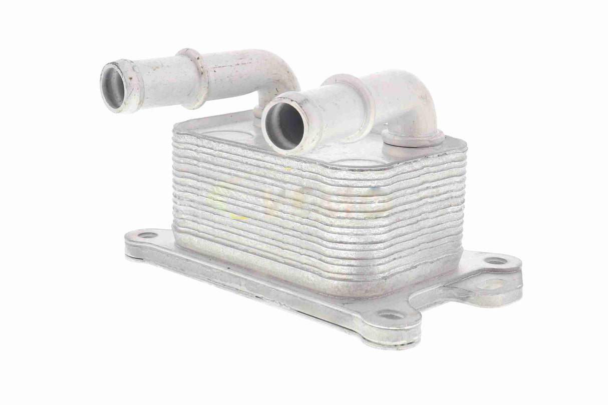 Oil Cooler, engine oil - V38-60-0004