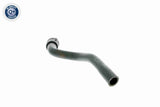 Radiator Hose - V40-1353