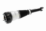 Air Suspension Strut - V30-50-0044