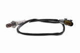 Oxygen Sensor - V24-76-0167