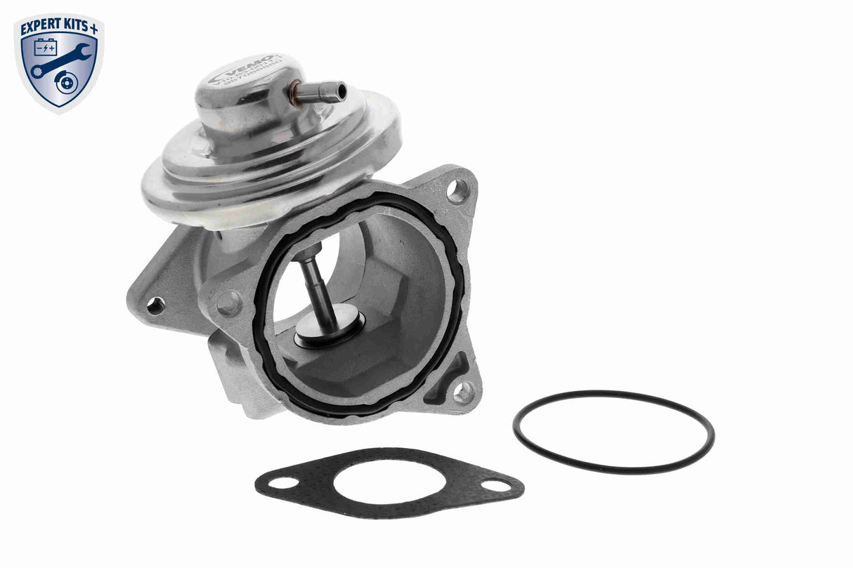 Valve, exhaust gas recirculation - V10-63-0011-1