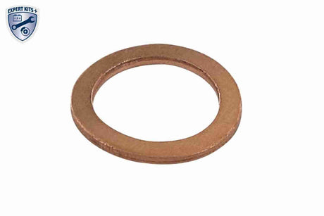Oil Sump - V10-2640