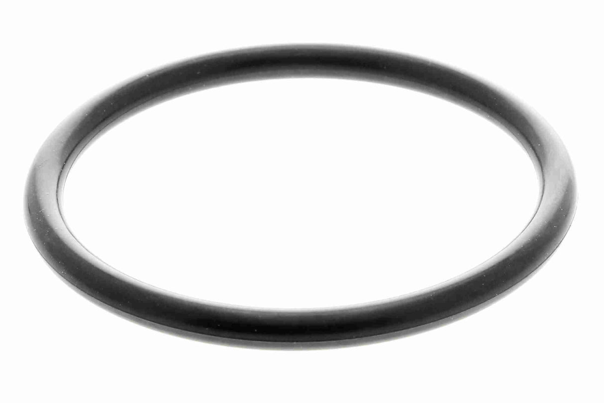 Seal, thermostat - V25-99-9001