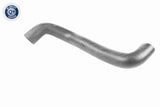 Charge Air Hose - V42-0620