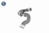 Radiator Hose - V30-3461