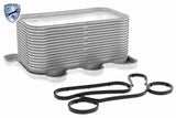 Oil Cooler, engine oil - V30-60-0005