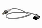 Oxygen Sensor - V10-76-0195