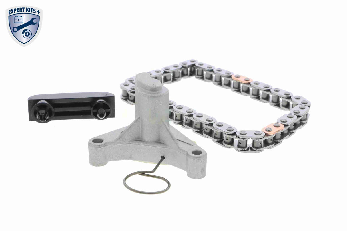 Timing Chain Kit - V25-10002-BEK