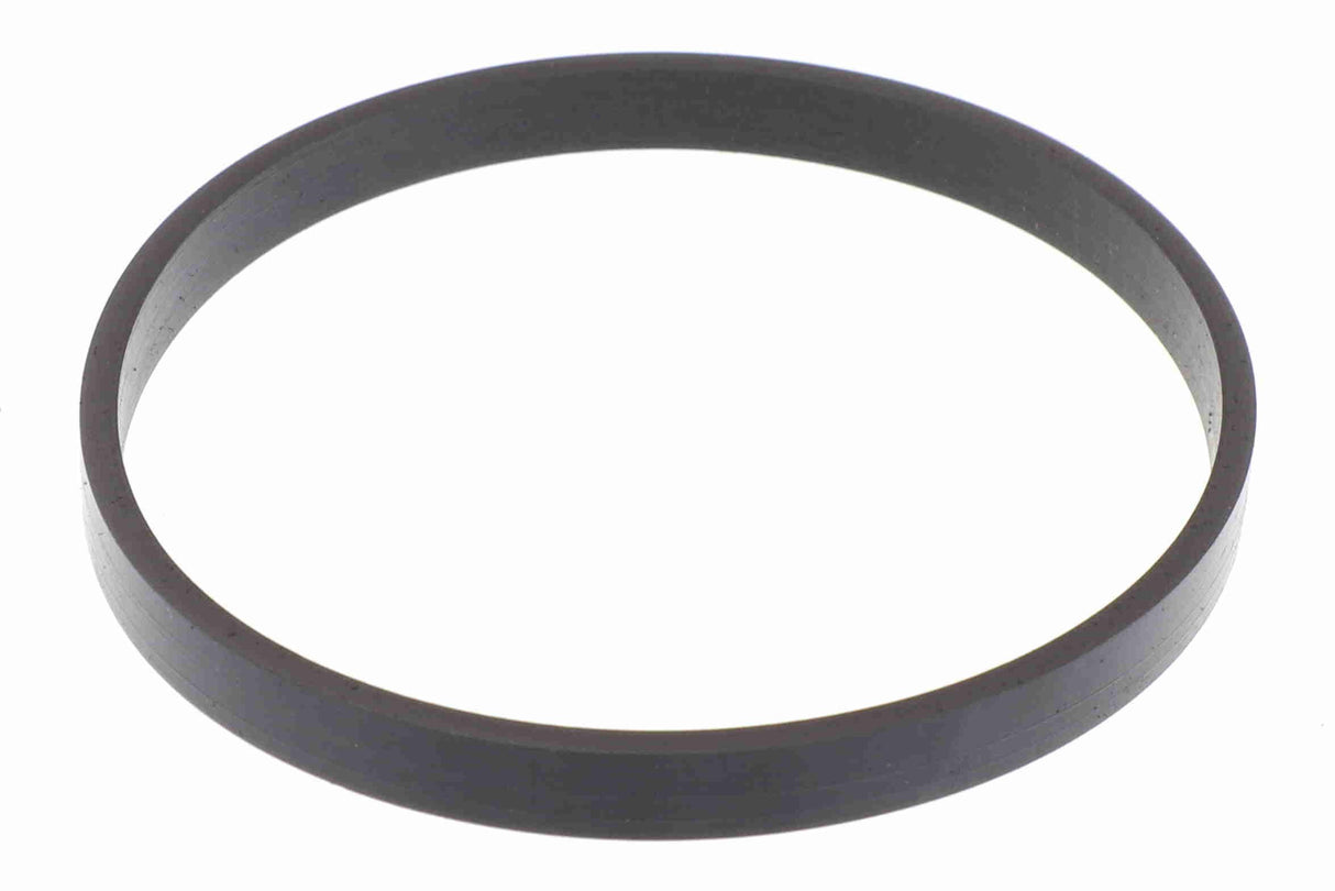 Gasket, throttle body - V20-81-0043