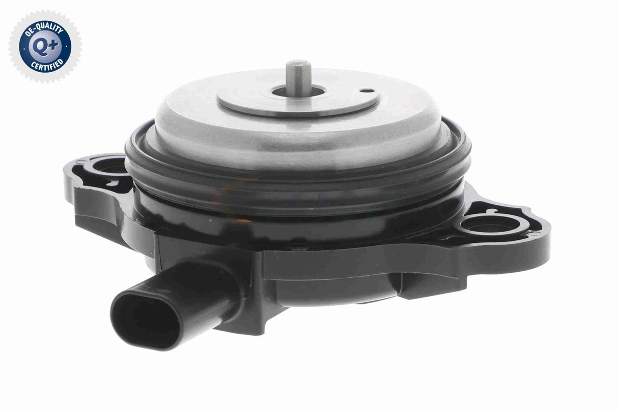 Central Magnet, camshaft adjustment - V20-3666