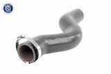 Charge Air Hose - V46-1034