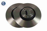 Brake Disc - V42-80008