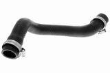 Radiator Hose - V20-2463