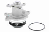 Water Pump, engine cooling - V30-50025