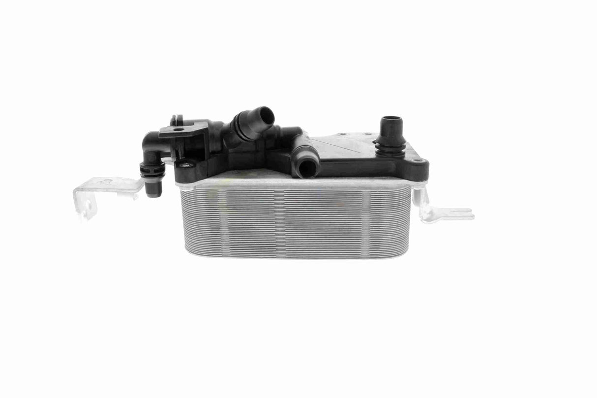 Oil Cooler, engine oil - V20-60-0052
