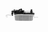 Oil Cooler, engine oil - V20-60-0052